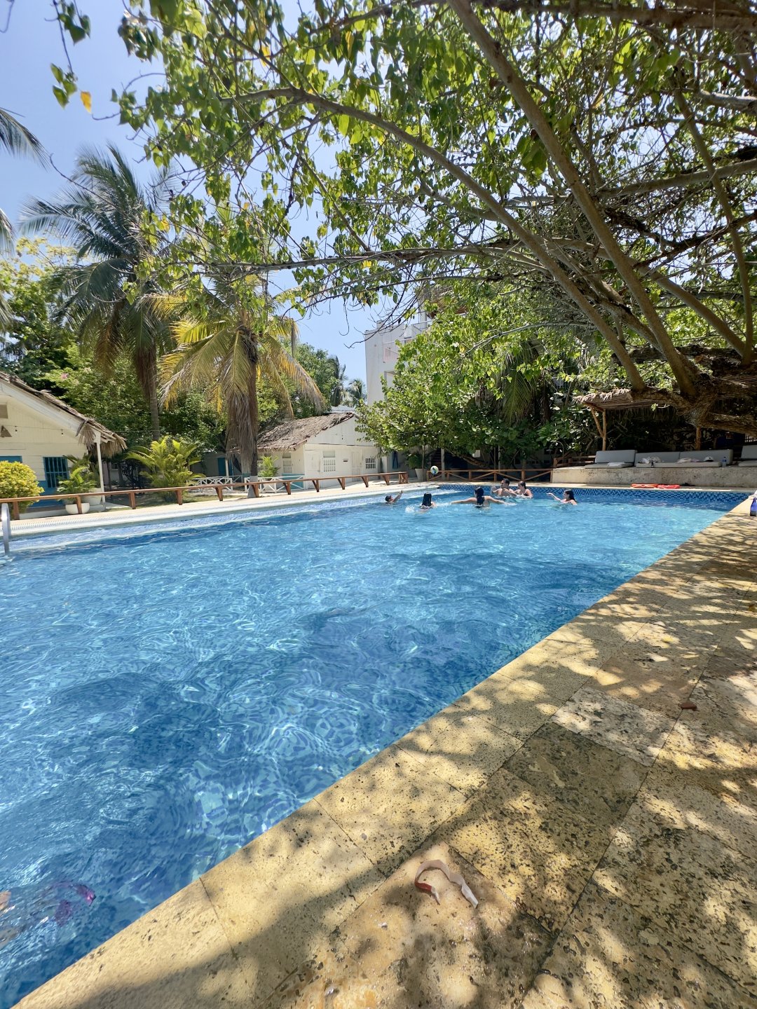 FENIX BEACH - imagen 4