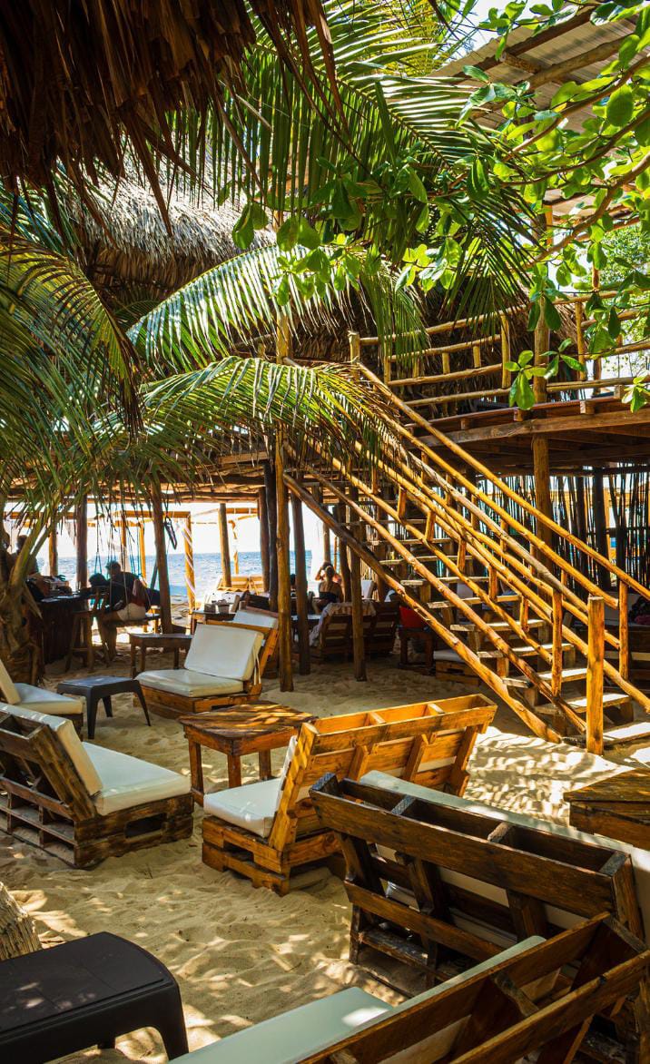Aviario con Mambo Beach Club - imagen 5